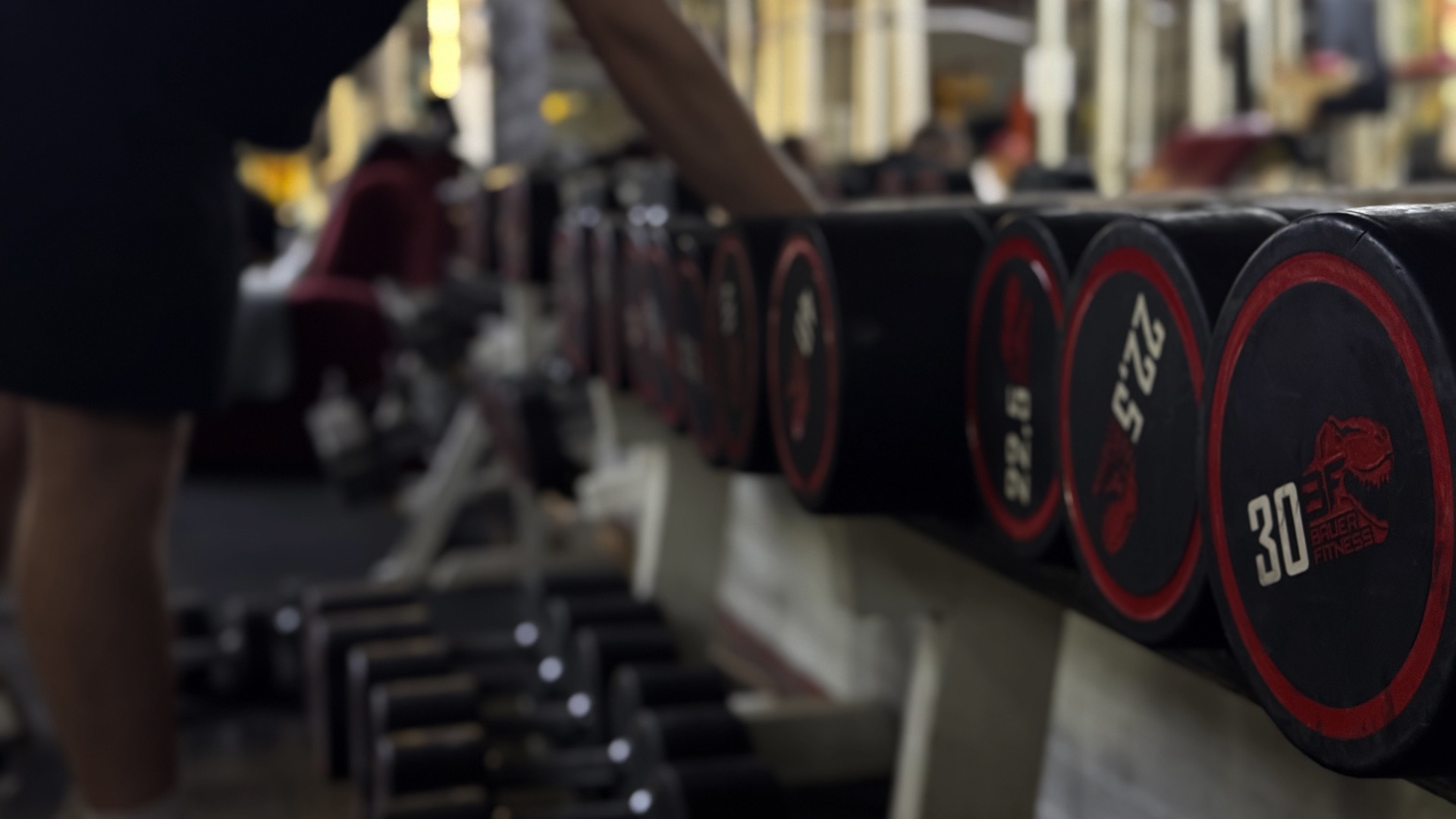 Silová zóna Fitness Ring Karviná — atlasovy kameny, loglift, volné váhy